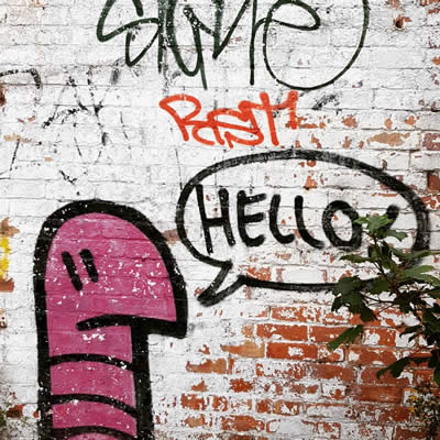 Artiste : Howard TAYLOR, photographe de street art