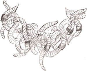 Lombrics - Marie FLAMBARD Lombrics - Marie FLAMBARD