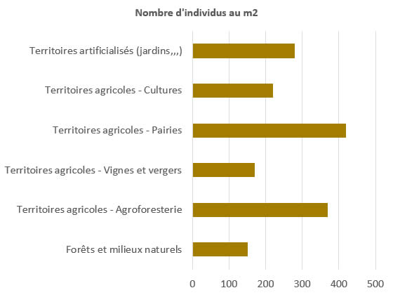 Quelle est l'origine du ver de terre ?