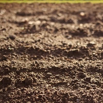 Le rôle du lombric en agriculture ?