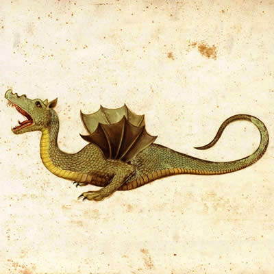 Dragon VS Ver de terre