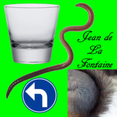 Vous avez dit homonyme ?