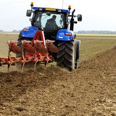 Ou trouver un lombric ?