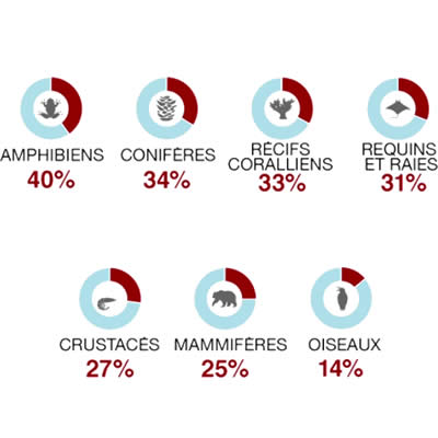 Changements climatiques, un million d’espèces menacées d’extinction