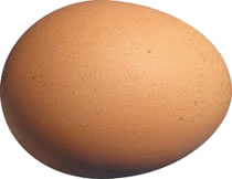 Existe-t-il des recettes de cuisine avec des vers de terre ?