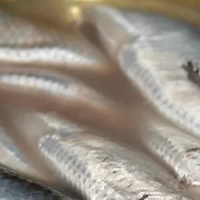 Pourquoi mon composteur dégage des odeurs ?