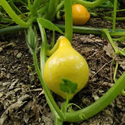 Nue comme un ver sur la plage