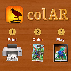 Colar Mix instructions