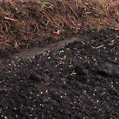 Lombri Compost, un ver de terre qui a de l'avenir