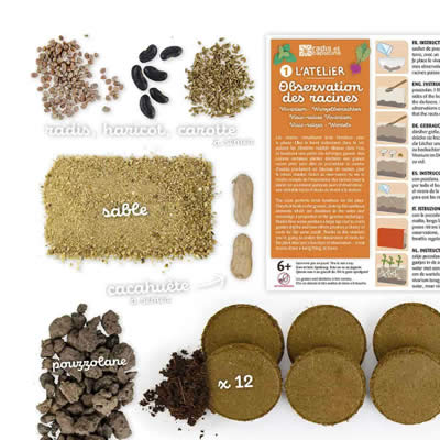 Jeu vidéo de ver de terre : Radis et Capucine - Vivarium 2-en-1