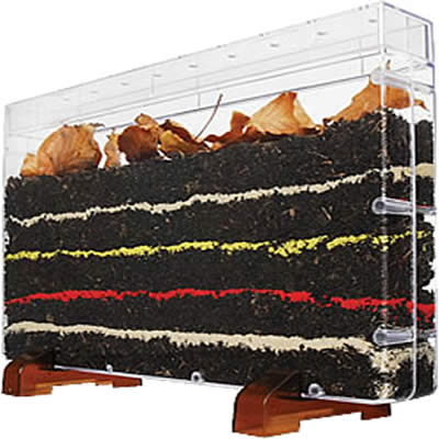 Jeu vidéo de ver de terre : Worm world, Le Monde des lombrics